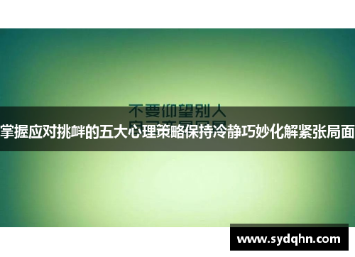 掌握应对挑衅的五大心理策略保持冷静巧妙化解紧张局面