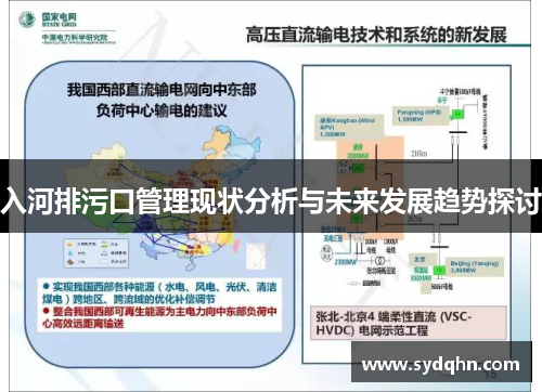 入河排污口管理现状分析与未来发展趋势探讨
