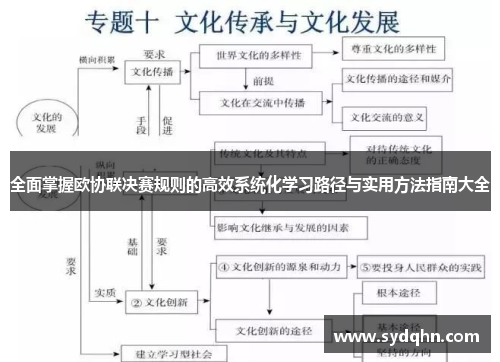 全面掌握欧协联决赛规则的高效系统化学习路径与实用方法指南大全