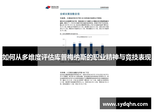 如何从多维度评估库普梅纳斯的职业精神与竞技表现