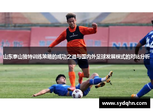 山东泰山独特训练策略的成功之道与国内外足球发展模式的对比分析