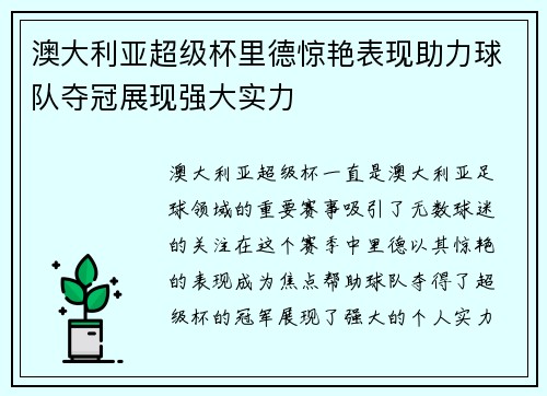 澳大利亚超级杯里德惊艳表现助力球队夺冠展现强大实力